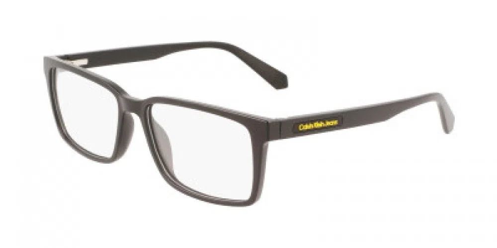 CALVIN KLEIN JEANS CKJ22620 Eyeglasses - view 3